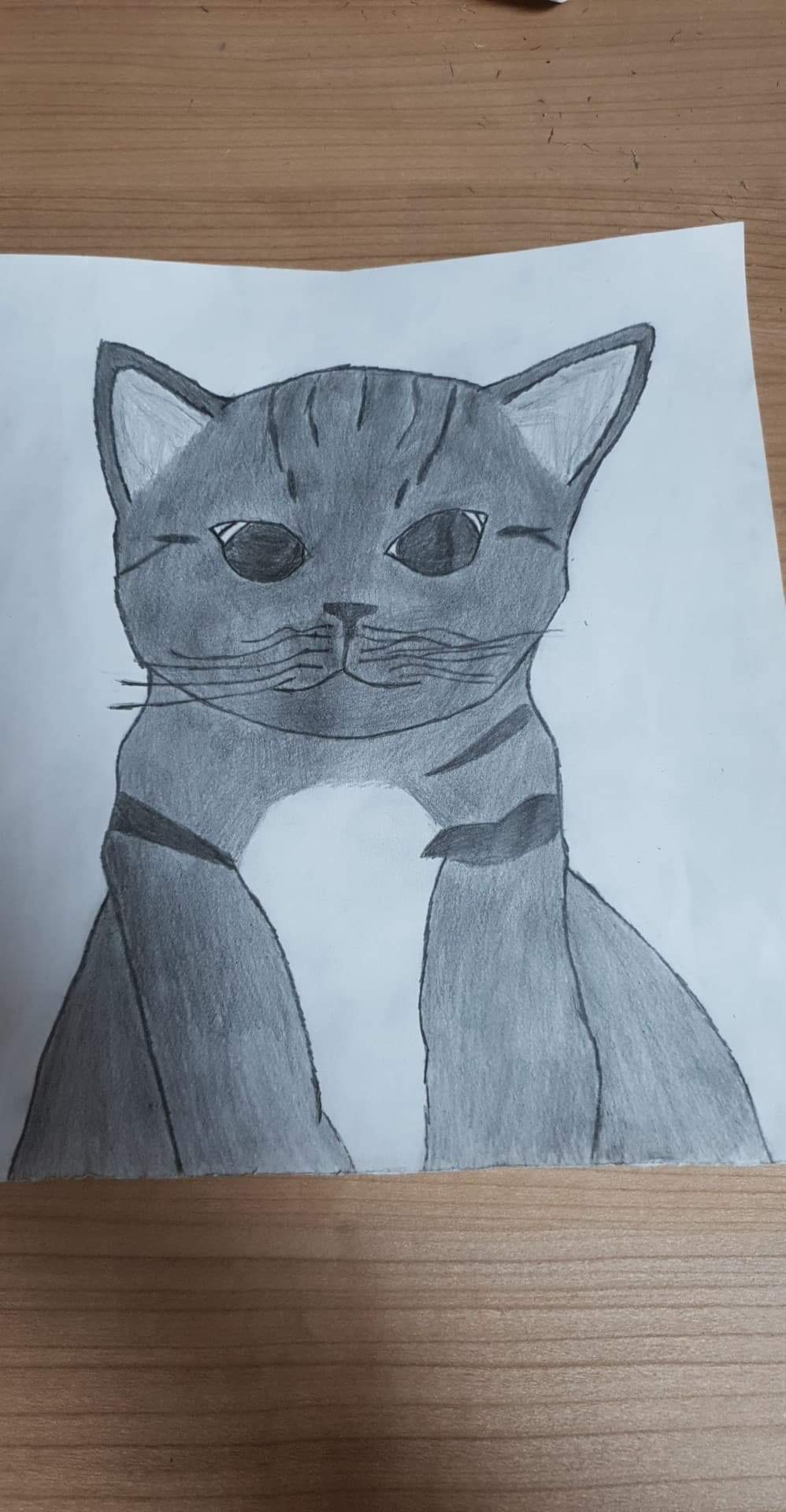 Painted cat drawing from undergraduate years.