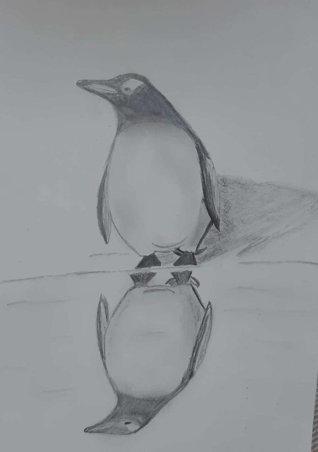 Pencil penguin drawing.